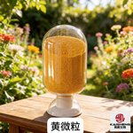 点击查看详细信息<br>标题：微粒系列 阅读次数：16